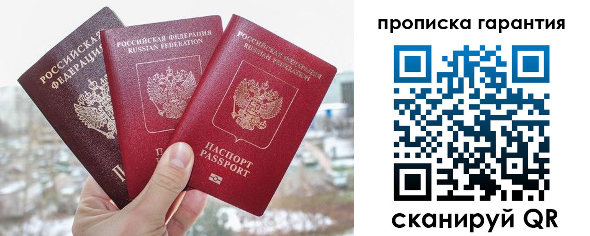 прописка 2025 в Курске